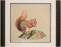 Royette Chapman: Red squirrel