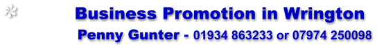 Business Promotion in Wrington                Penny Gunter - 01934 863233 or 07974 250098